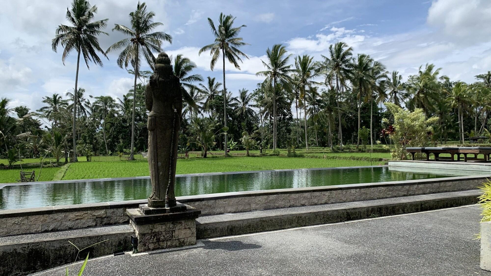 Pajar House Ubud Suite & Villas Kültér fotó
