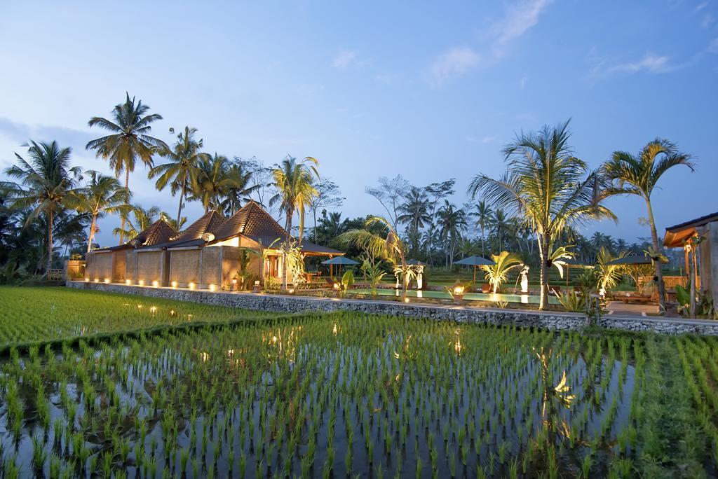 Pajar House Ubud Suite & Villas Szoba fotó