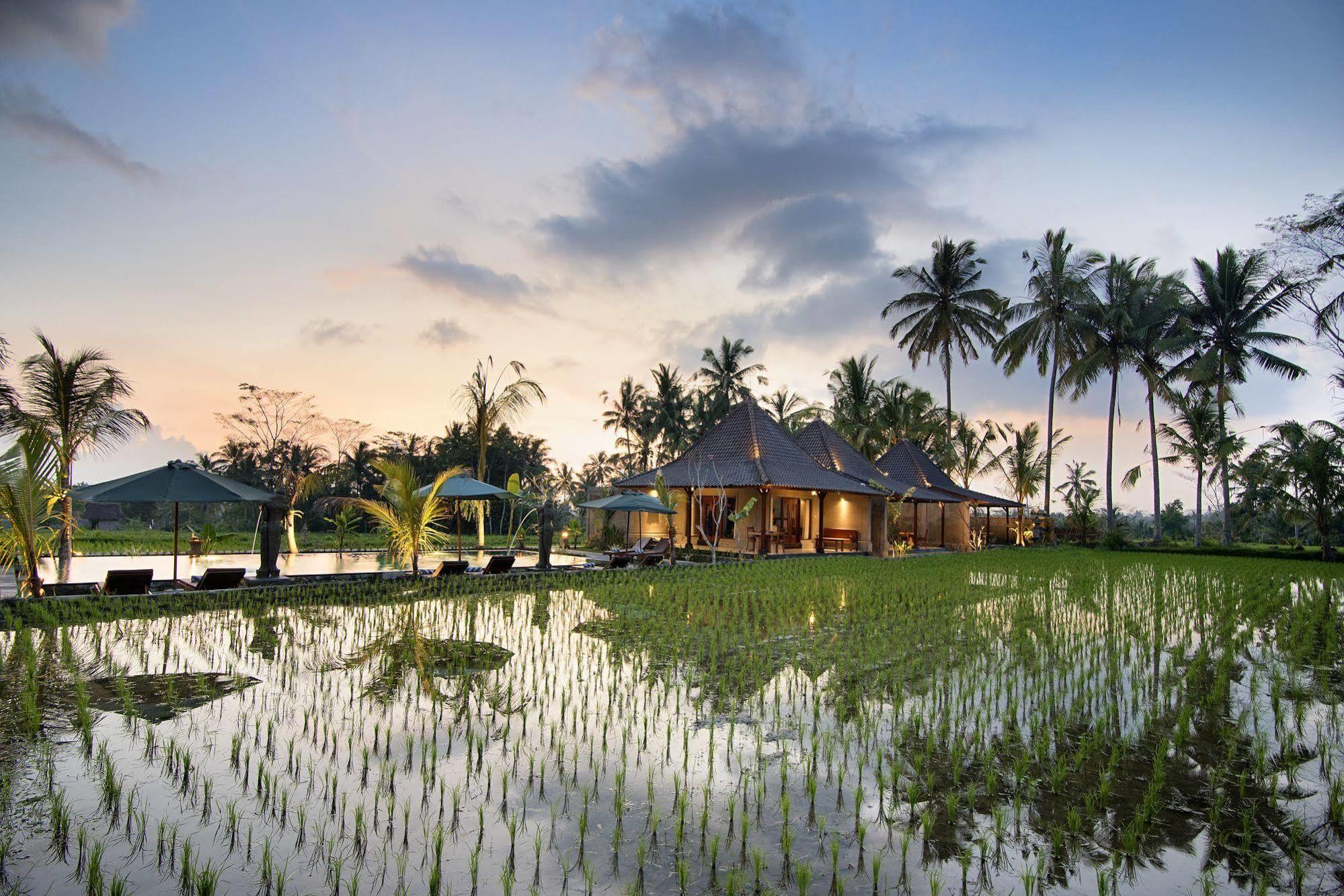 Pajar House Ubud Suite & Villas Kültér fotó