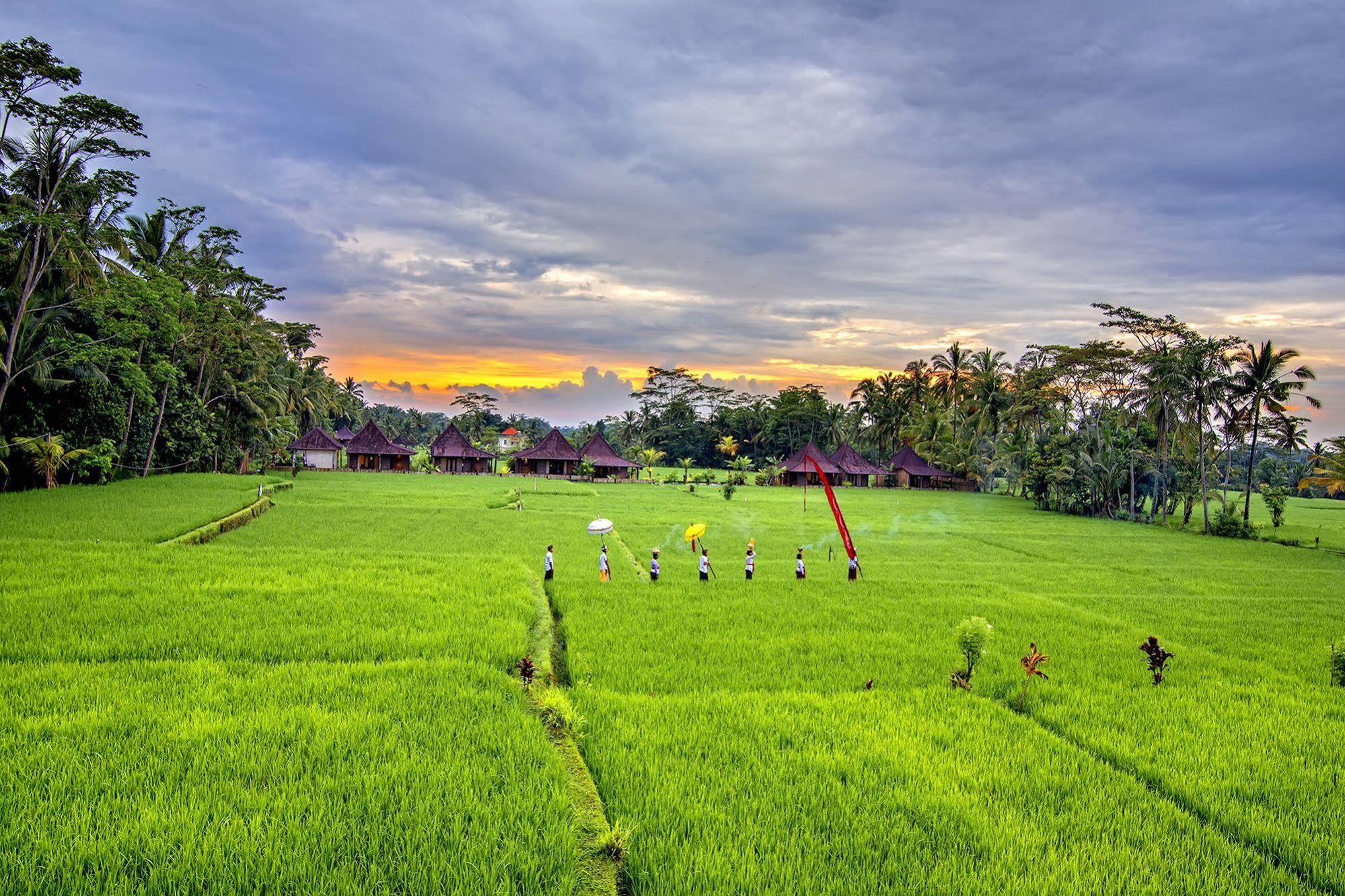Pajar House Ubud Suite & Villas Kültér fotó