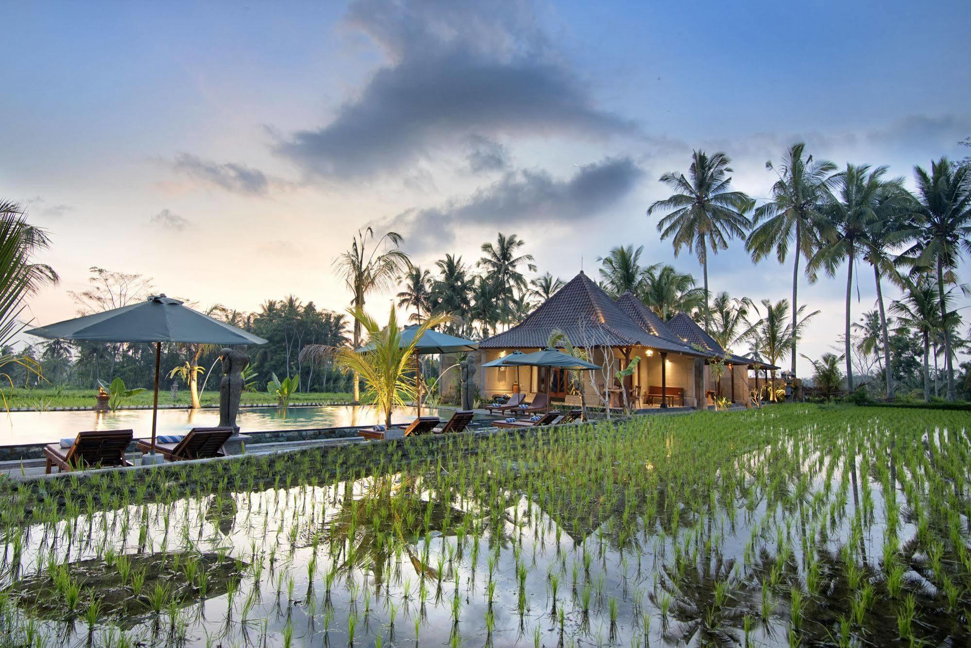 Pajar House Ubud Suite & Villas Kültér fotó