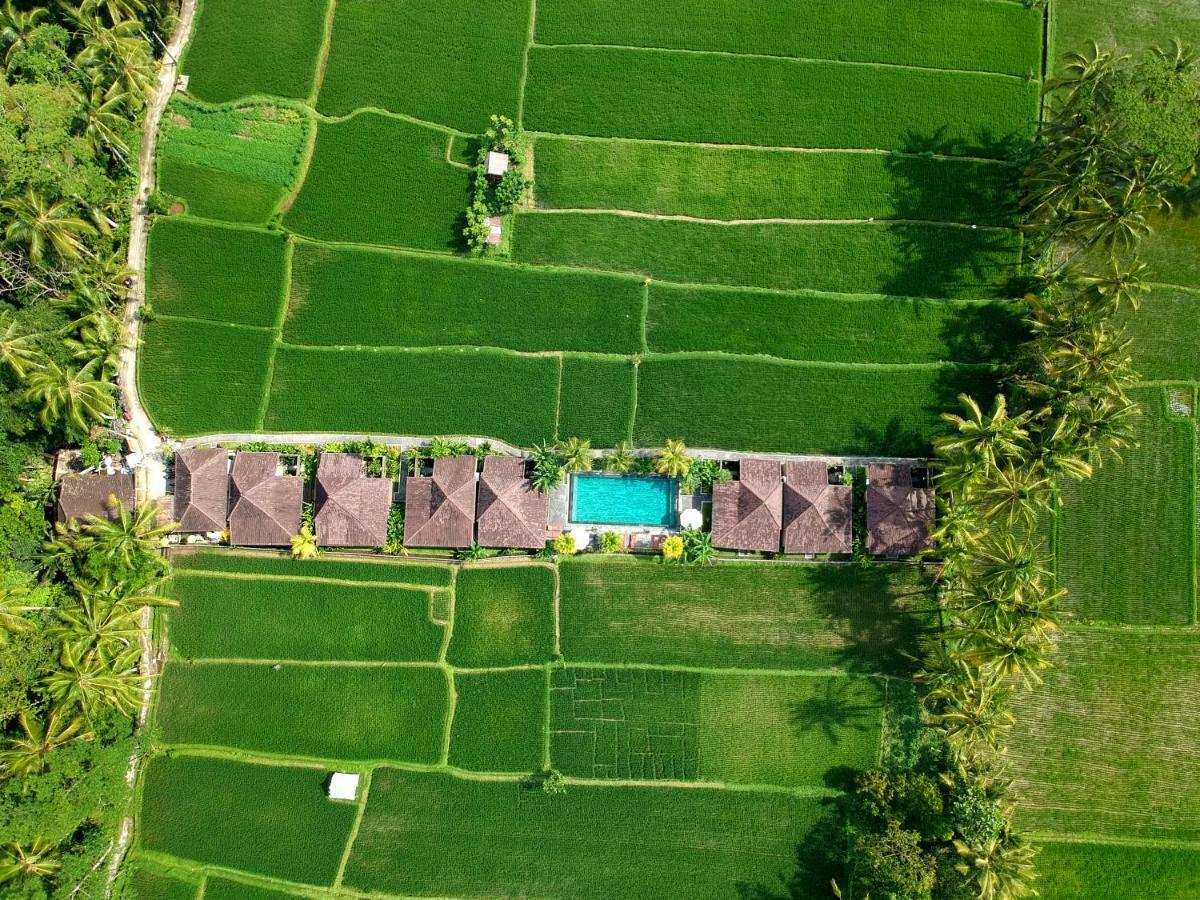 Pajar House Ubud Suite & Villas Kültér fotó